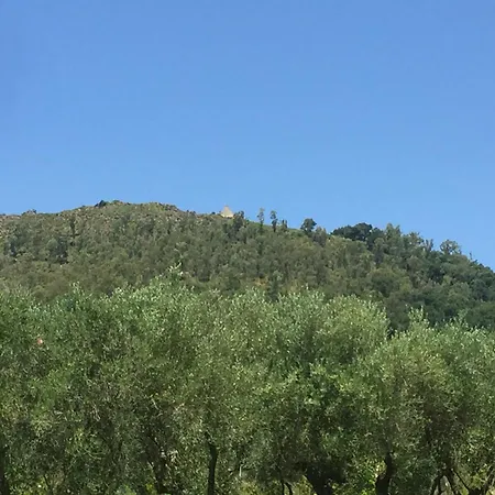בית חווה Il Borgo Sul *