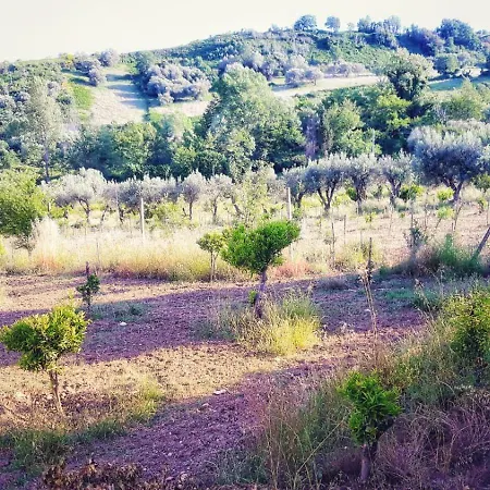 Il Borgo Sul *